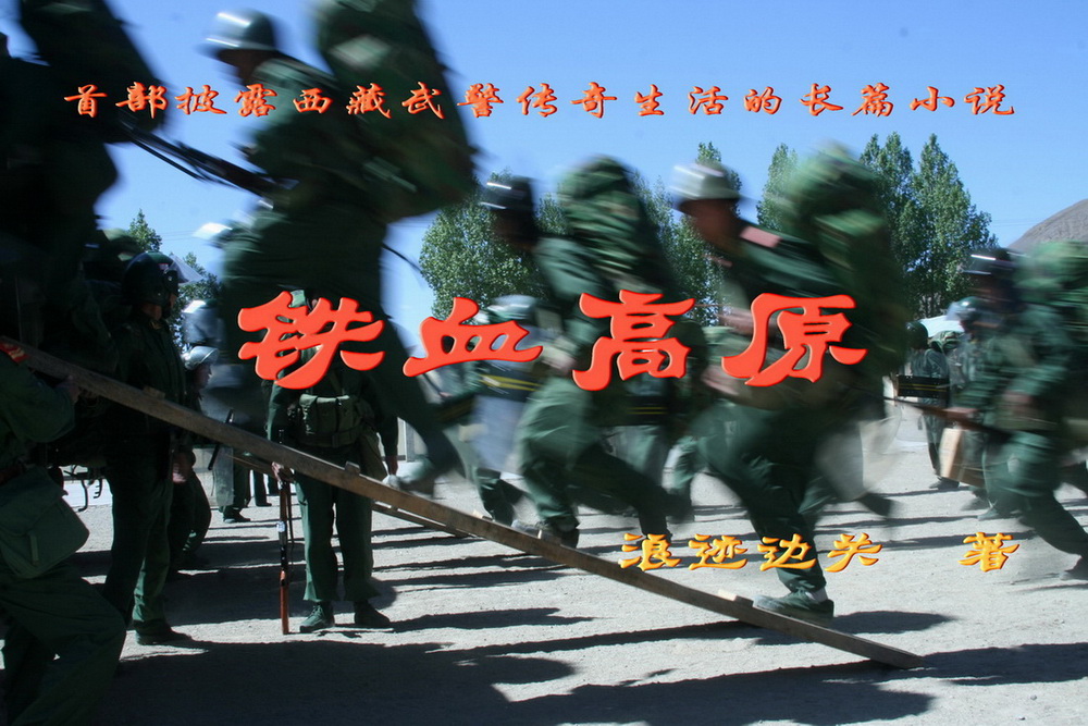 铁血军魂:西藏武警传奇TXT全集封面