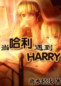 (HP)当哈利遇到HARRYTXT全集封面