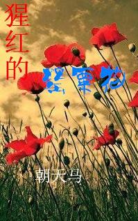 猩红的罂粟花TXT全集封面