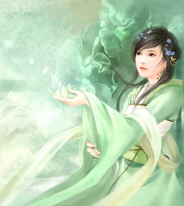 木槿流年TXT全集封面