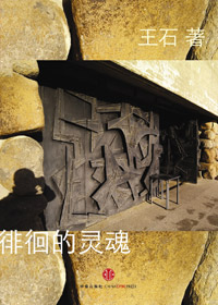 徘徊的灵魂TXT全集封面
