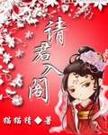 请君入阁TXT全集封面