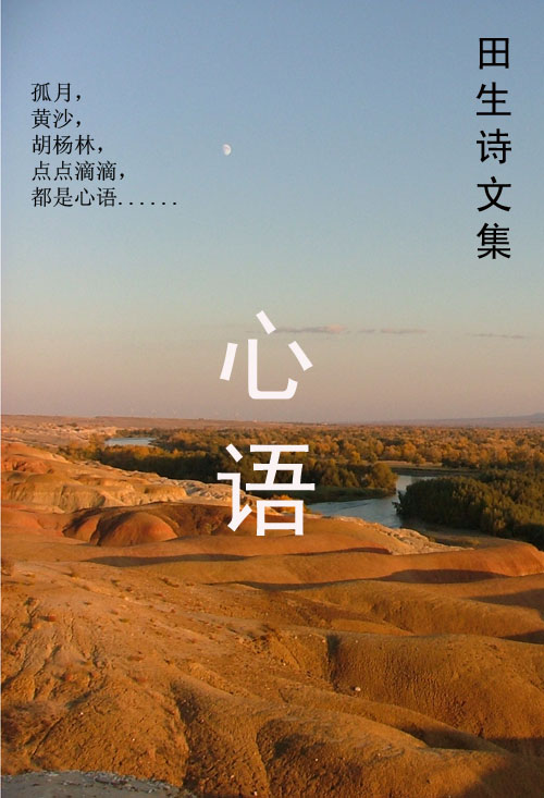 心语田生诗文TXT全集封面