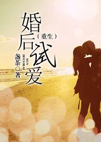 婚后试爱(重生)TXT全集封面