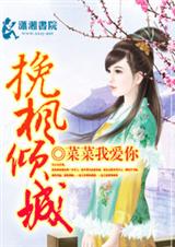 挽枫倾城TXT全集封面