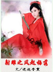射雕之风起梅落TXT全集封面