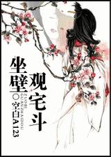 坐壁观宅斗TXT全集封面