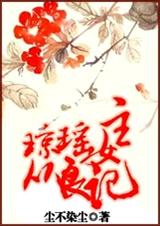 琼瑶女主从良记TXT全集封面