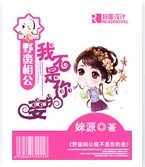 野蛮相公我不是你的妾 完结TXT全集封面