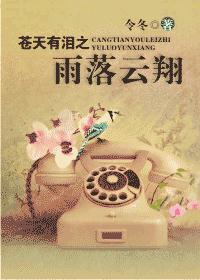 苍天有泪之雨落云翔TXT全集封面