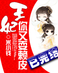 王妃你又耍赖皮TXT全集封面