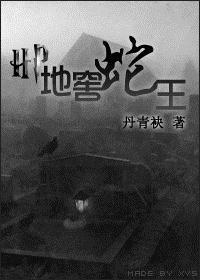 HP 地窖蛇王TXT全集封面