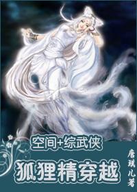 (空间+综武侠同人)狐狸精穿越TXT全集封面