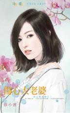 伤心大老婆TXT全集封面