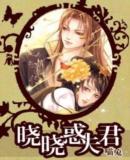 晓晓惑夫君 上部TXT全集封面