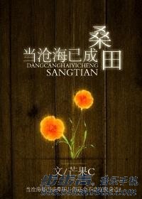 当沧海已成桑田TXT全集封面