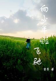 向少年啦飞驰TXT全集封面