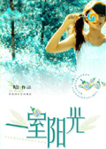 一室阳光TXT全集封面