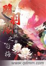 雕羽阁之白梅TXT全集封面