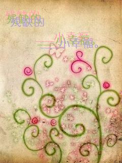 残缺的小幸福TXT全集封面