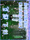 浪漫爱情系列 绿光樱苑TXT全集封面