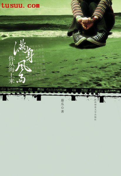 满身风雨你从海上来TXT全集封面