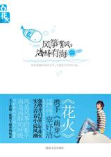 风筝有风 海豚有海TXT全集封面