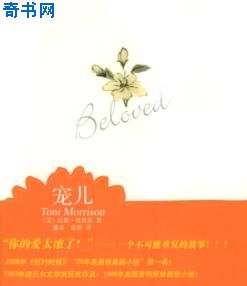 宠儿TXT全集封面