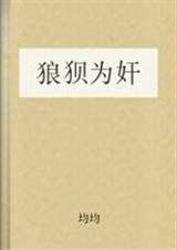 狼狈为奸TXT全集封面