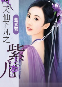 天仙下凡之:紫儿TXT全集封面