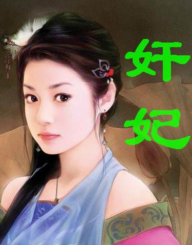 奸妃第一部 深宫似海TXT全集封面