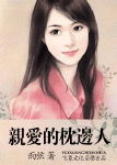 亲爱的枕边人TXT全集封面