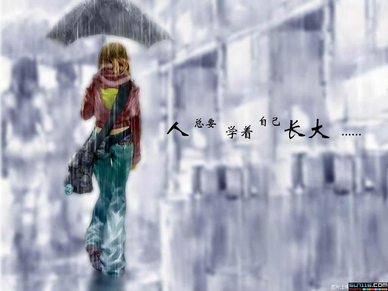 梦见流年TXT全集封面