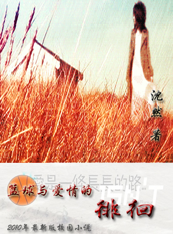 篮球与爱情的徘徊TXT全集封面