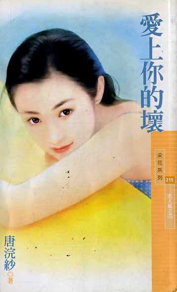 爱上你的坏TXT全集封面