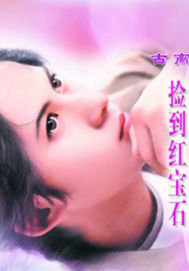 捡到红宝石TXT全集封面