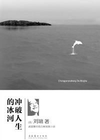 冲破人生的冰河TXT全集封面