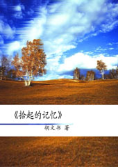 拾起的记忆TXT全集封面