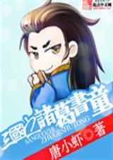 三国之诸葛书童TXT全集封面
