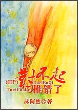 (HP)对不起,推错了TXT全集封面