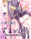 宠奴绝世魅夫人冥王的宠妃TXT全集封面
