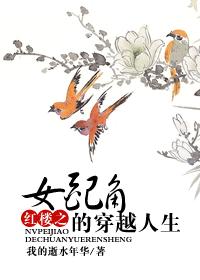 红楼之女配角的穿越人生TXT全集封面