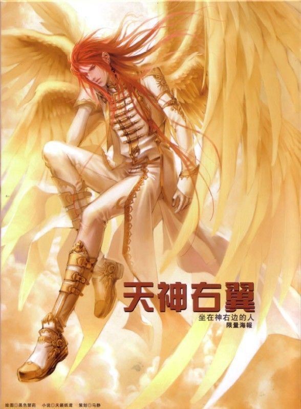 天神右翼1神谴(耽美)TXT全集封面
