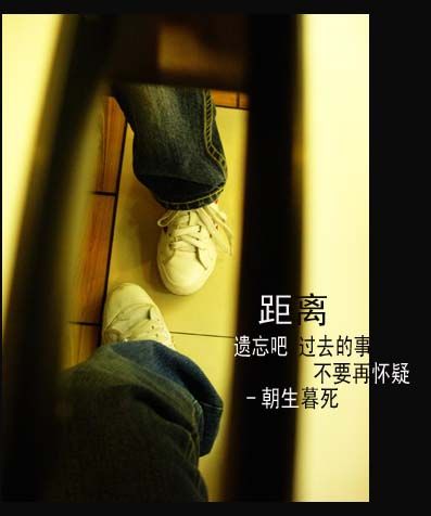 夫君争着要我宠TXT全集封面