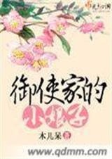 御史家的小娘子TXT全集封面