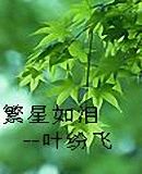 繁星如泪--叶纷飞TXT全集封面