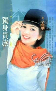 独身贵族TXT全集封面