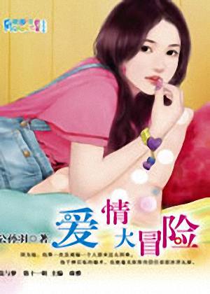 爱情大冒险TXT全集封面