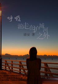 呼吸游走在护城河之外TXT全集封面
