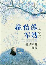 婉约派军嫂TXT全集封面